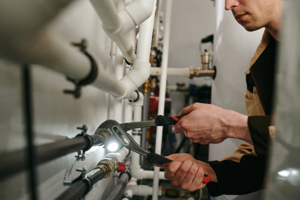 Best Affordable Plumbing Services  in Momence, IL